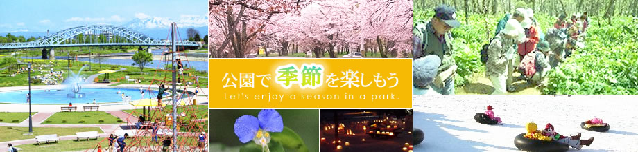 公園で季節を楽しもう