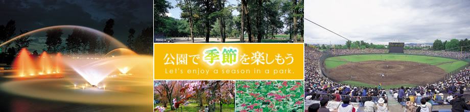 公園で季節を楽しもう
