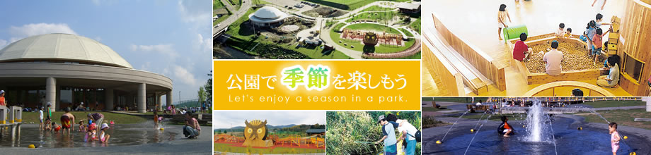 公園で季節を楽しもう