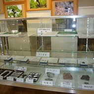 旭川の自然展示コーナー