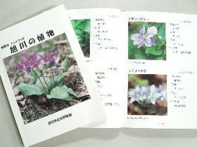 ハンドブック『旭川の植物』