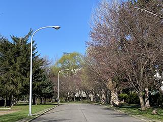 2025_4_28hanasaki003.jpg