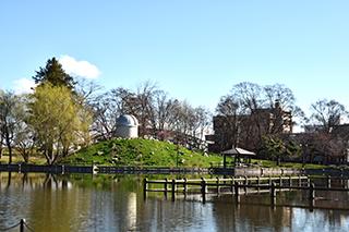 2025_4_28tokiwa004.jpg