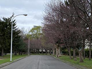 2025_4_30hanasaki003.jpg