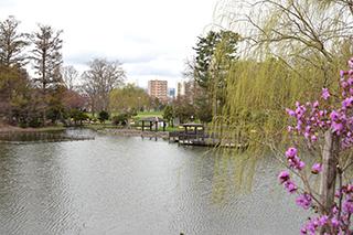 2025_4_30tokiwa004.jpg