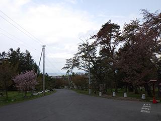 2025_5_13asahiyama002.jpg