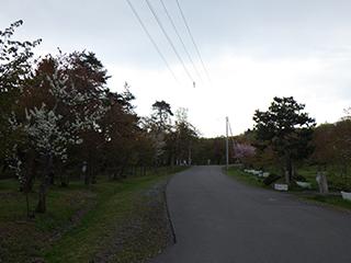 2025_5_13asahiyama004.jpg