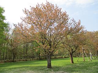2025_5_13syunkoudai002.jpg