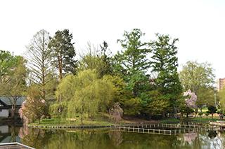 2025_5_13tokiwa003.jpg