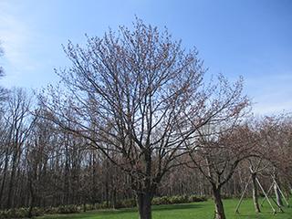 2025_5_2syunkoudai002.jpg