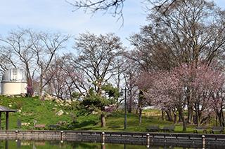 2025_5_2tokiwa003.jpg