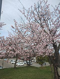 2025_5_7asahiyama001.jpg