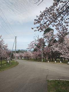 2025_5_7asahiyama002.jpg