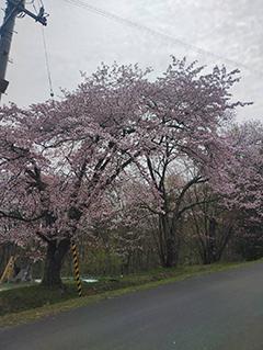 2025_5_7asahiyama003.jpg