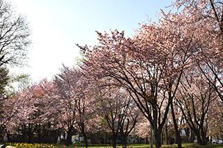 2025_5_7tokiwa001.jpg