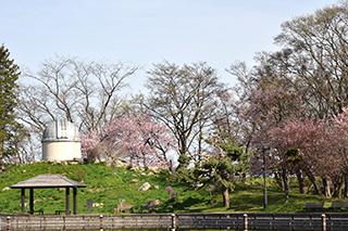 2025_5_7tokiwa003.jpg