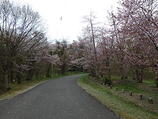 2025_5_9asahiyama001.jpg