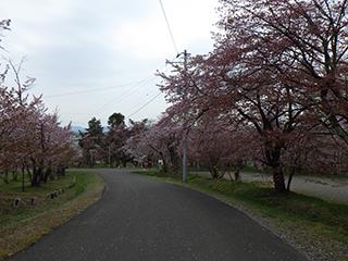 2025_5_9asahiyama002.jpg