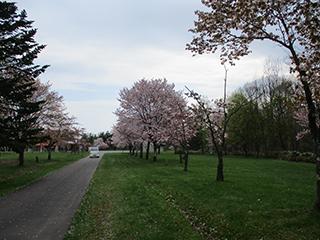 2025_5_9syunkoudai004.jpg