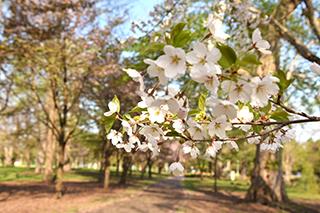 2025_5_9tokiwa001.jpg