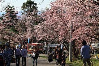 2019_asahiyama_001_0505.jpg