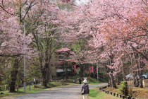 asahiyama_2015_05_01