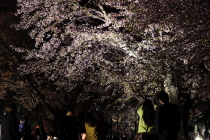 asahiyama_2015_05_02