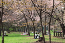 kaguraoka_2015_05_01