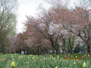 IMG_3954.jpg