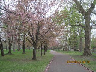 IMG_3955.jpg