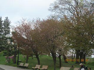 IMG_3956.jpg