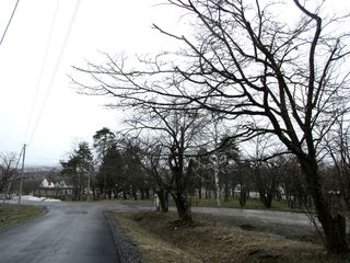asahiyama_2016_0415_004.JPG