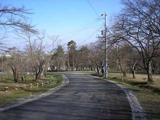 asahiyama_2016_0428_002.jpg