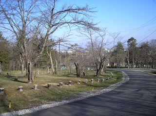 asahiyama_2016_0428_003.jpg