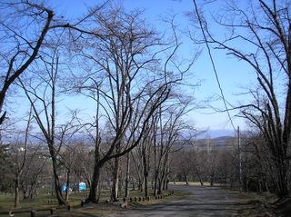 asahiyama_2016_0502_001.jpg