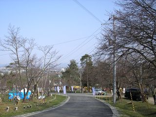 asahiyama_2016_0503_002.jpg