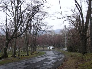 asahiyama_2016_0504_001.jpg