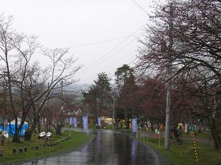 asahiyama_2016_0504_002.jpg