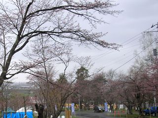 asahiyama_2016_0505_003.jpg
