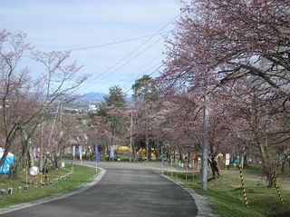 asahiyama_2016_0506_002.jpg