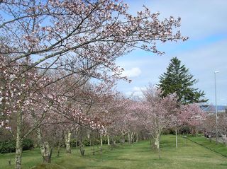 asahiyama_2016_0506_004.jpg