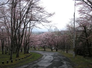 asahiyama_2016_0507_001.jpg