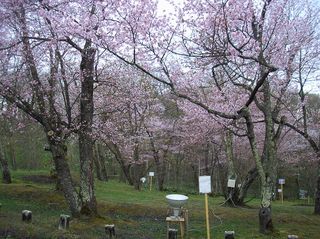 asahiyama_2016_0507_003.jpg