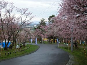 asahiyama_2016_0507_005.jpg