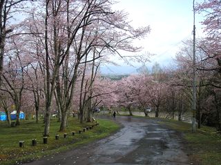 asahiyama_2016_0508_001.jpg