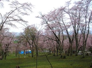 asahiyama_2016_0508_002.jpg