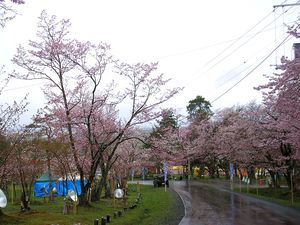 asahiyama_2016_0508_003.jpg