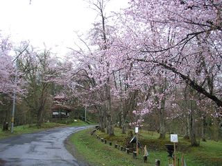 asahiyama_2016_0508_005.jpg