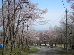 asahiyama_2016_0509_001.jpg