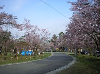 asahiyama_2016_0509_003.jpg